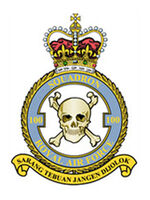 100 Squadron Crest - 1WAGS Ballarat