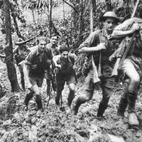 ABC Photo -  Kokoda Track