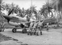 AWM 026648 - RAAF Milne Bay Papua September 1942