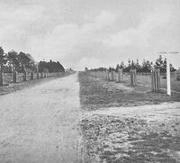 Avenue of Honour 1917