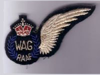 Wireless Air Gunner Badge