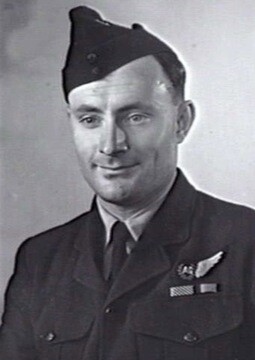 1 WAGS - BROWN William Haig - 416948 