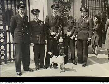 1WAGS HOLGATE Merrick Sadlier 400117 Buckingham Palace DFC presentation.