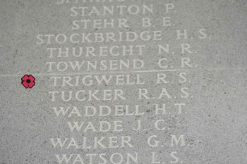 1WAGS - TRIGWELL Russell Seymour - Service Number 415000 (edited-1)